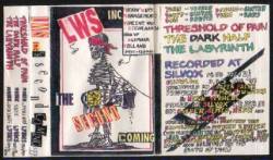 Lunatics Without Skateboards Inc. : The Second Coming